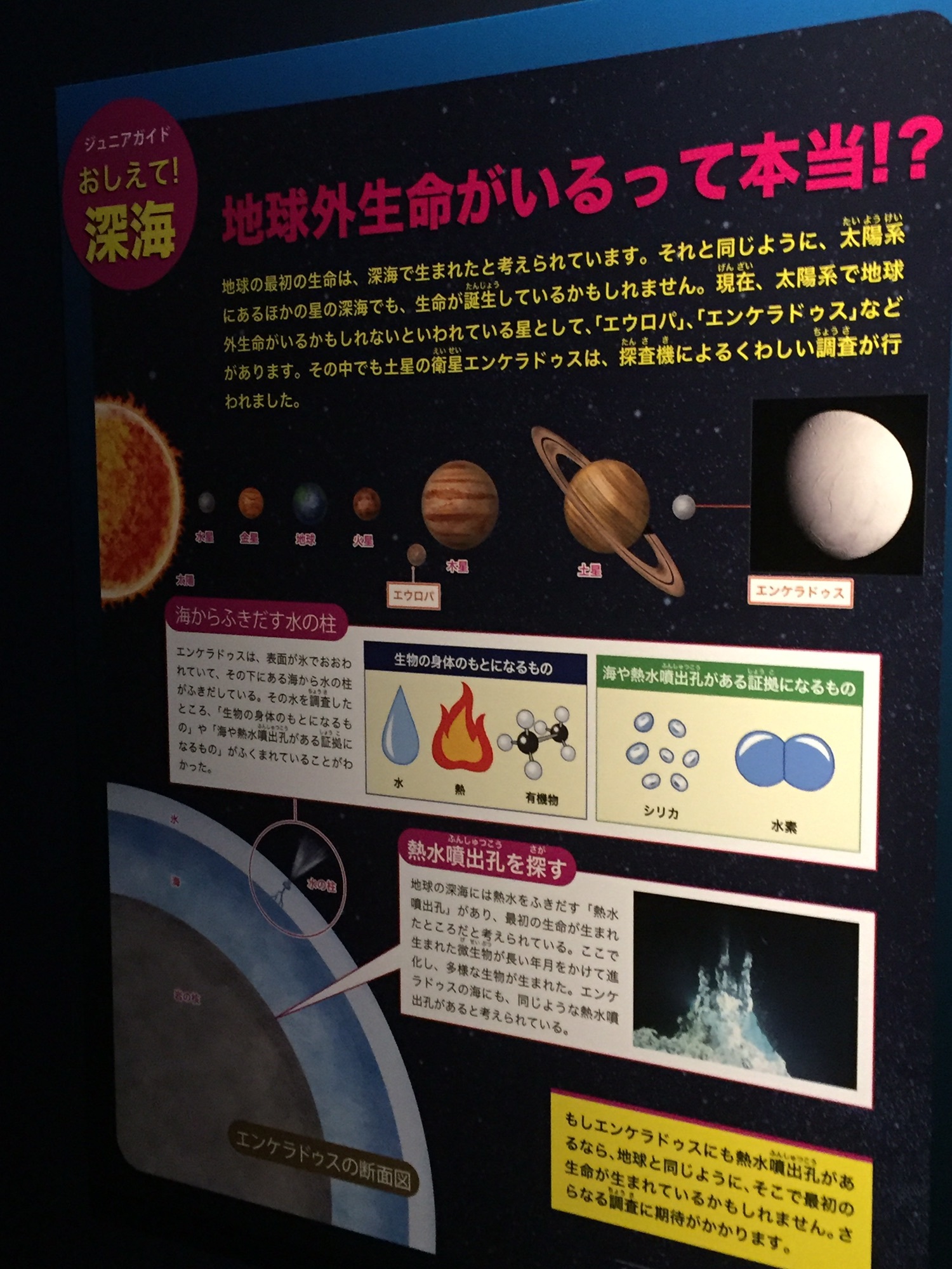 深海魚展2017は、産霊のメッセージ
